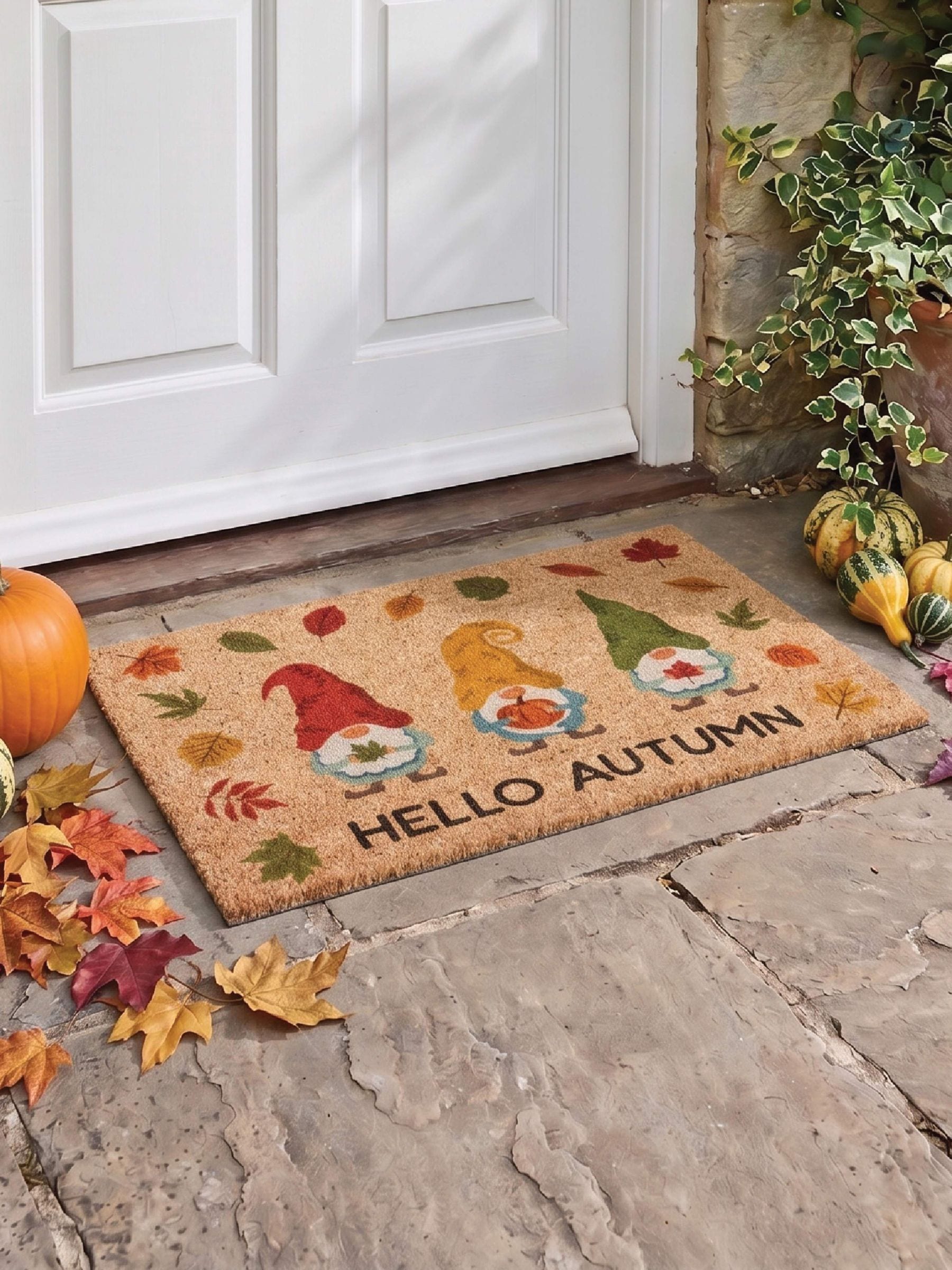 Artsy Mats Unisex Brown Autumn Gonks Doormat - Image 1