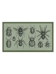 Tapete de entrada Artsy Mats com estampa de insetos para ambientes internos e externos. - Imagem 2 de 2