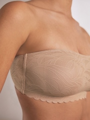 Praline Nude All-Over Lace Scallop Edge Bandeau Bra - Image 4 of 6