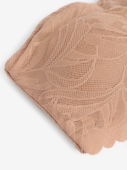 Praline Nude All-Over Lace Scallop Edge Bandeau Bra - Image 6 of 6