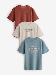 Blue/Rust/Ecru Text 3 Pack Relaxed Fit Graphic Heavyweight T-Shirts 3 Pack - Image 1 of 12