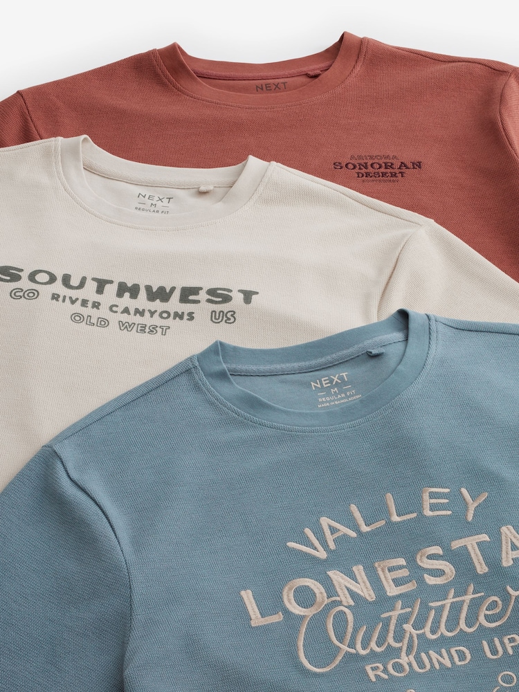 Blue/Rust/Ecru Text 3 Pack Relaxed Fit Graphic Heavyweight T-Shirts 3 Pack - Image 12 of 12