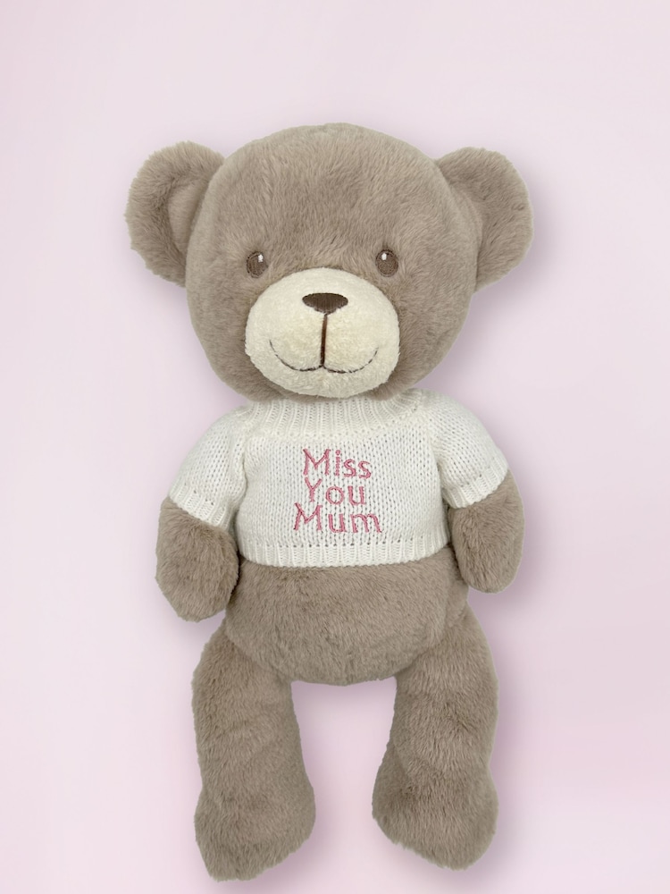 Babyblooms Mothers Day Frankie Bear Soft Toy - Miss You - Image 2 of 4