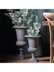 Gallery Home Gold Potted Eucalyptus Bush H920mm - Image 1 of 4