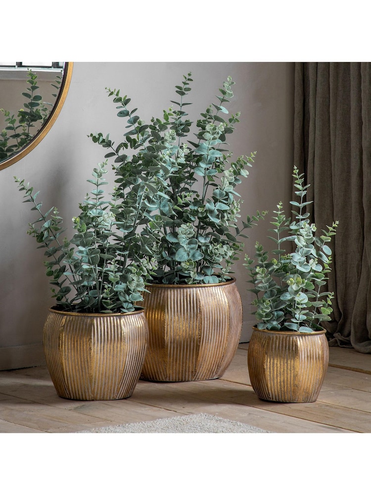 Gallery Home Gold Potted Eucalyptus Bush H920mm - Image 2 of 4