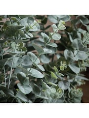 Gallery Home Gold Potted Eucalyptus Bush H920mm - Image 3 of 4