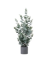 Gallery Home Gold Potted Eucalyptus Bush H920mm - Image 4 of 4
