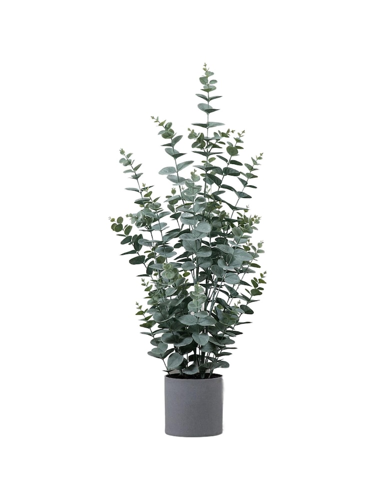 Gallery Home Gold Potted Eucalyptus Bush H920mm - Image 4 of 4