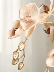 Set of 2 Gold Metallic Orchid Stems - Image 3 of 4