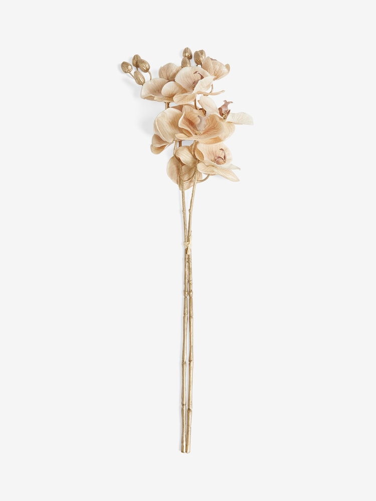 Set of 2 Gold Metallic Orchid Stems - Image 4 of 4