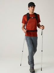 Regatta Grey Anti Insect Travel Cargo Trousers - Image 3 of 9