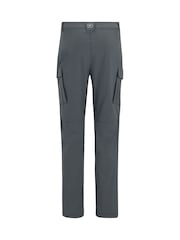 Regatta Grey Anti Insect Travel Cargo Trousers - Image 8 of 9