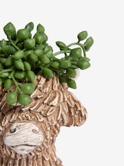 Green Artificial String of Pearls in Hamish The Highland Cow Ornament - Image 4 of 4