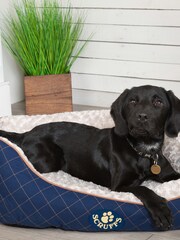 Scruffs Blue Large Wilton Box Bed - Image 1 of 3