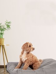 Danish Designs Grey Anti-Bacterial Deluxe Duvet - Image 1 of 3