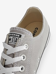 Converse Grey Chuck Taylor Ox Classic Low Trainers - Image 9 of 9