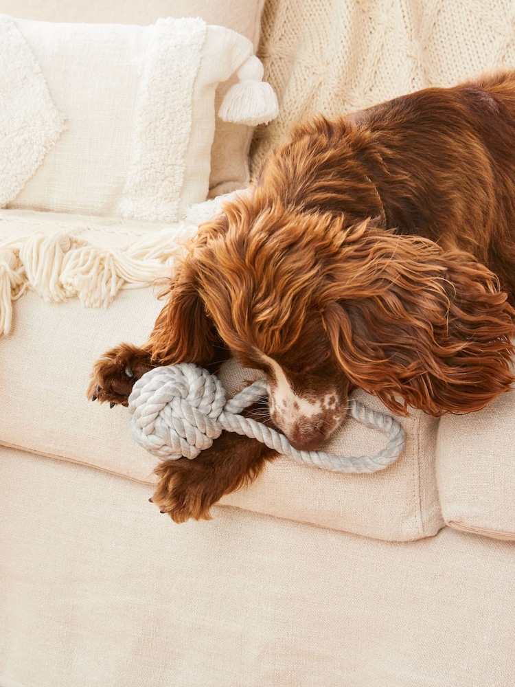 Grey Rope Pet Toy - Image 1 of 4 Grey Rope Pet Toy - Image 1 of 4