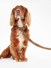 Barbour® Brown Leather Dog Lead - Image 1 of 6