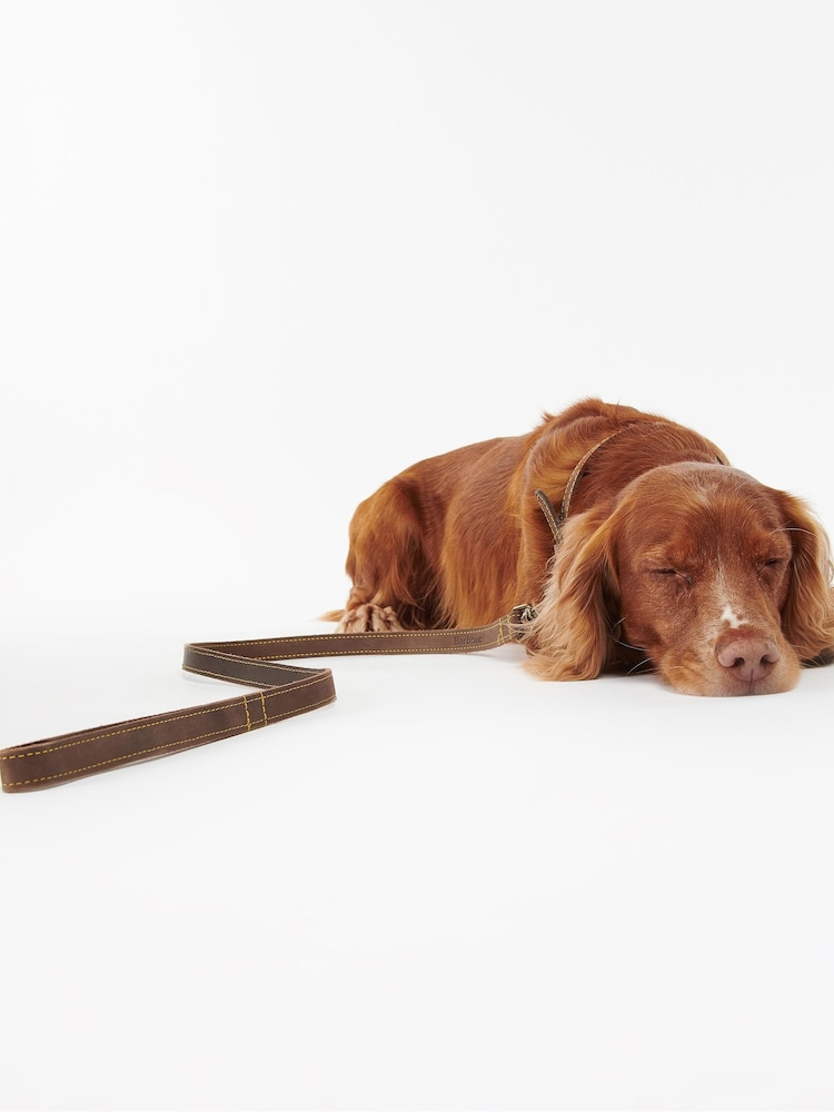 Barbour® Brown Leather Dog Lead - Image 2 of 6