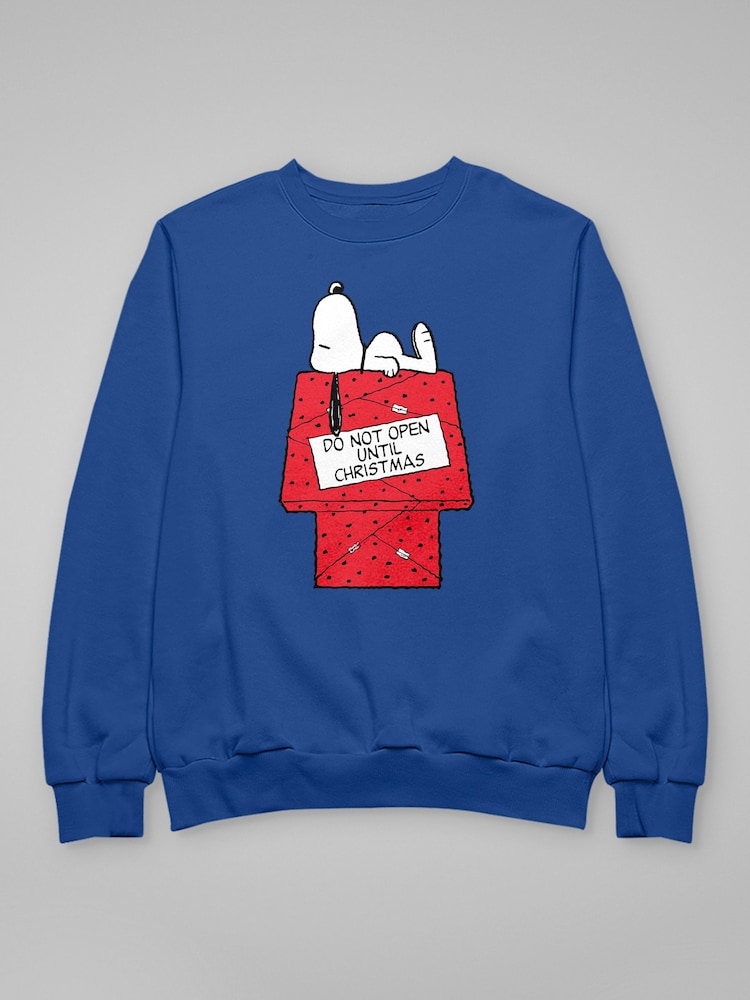 All + Every Peanuts Snoopy Do Not Open Until Christmas Day Sweatshirt - 4şəkildən 4 şəkil