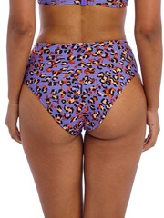 Freya Multicolour Leopard Pritn Santiago Nights High Waist Bikini Bottoms - Image 2 of 4
