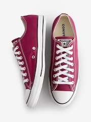 Converse Burgundy Red Standard Fit Chuck Taylor All Star Ox Trainers - Image 6 of 9