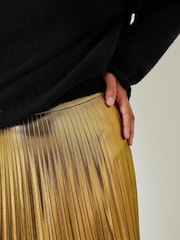 Hush Gold Raven Pleated Maxi Skirt - Image 4 of 5