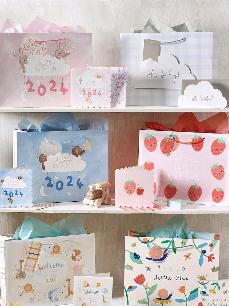 Blue Boy Born in 2024 Gift Bag and Card Set - Image 1 of 1