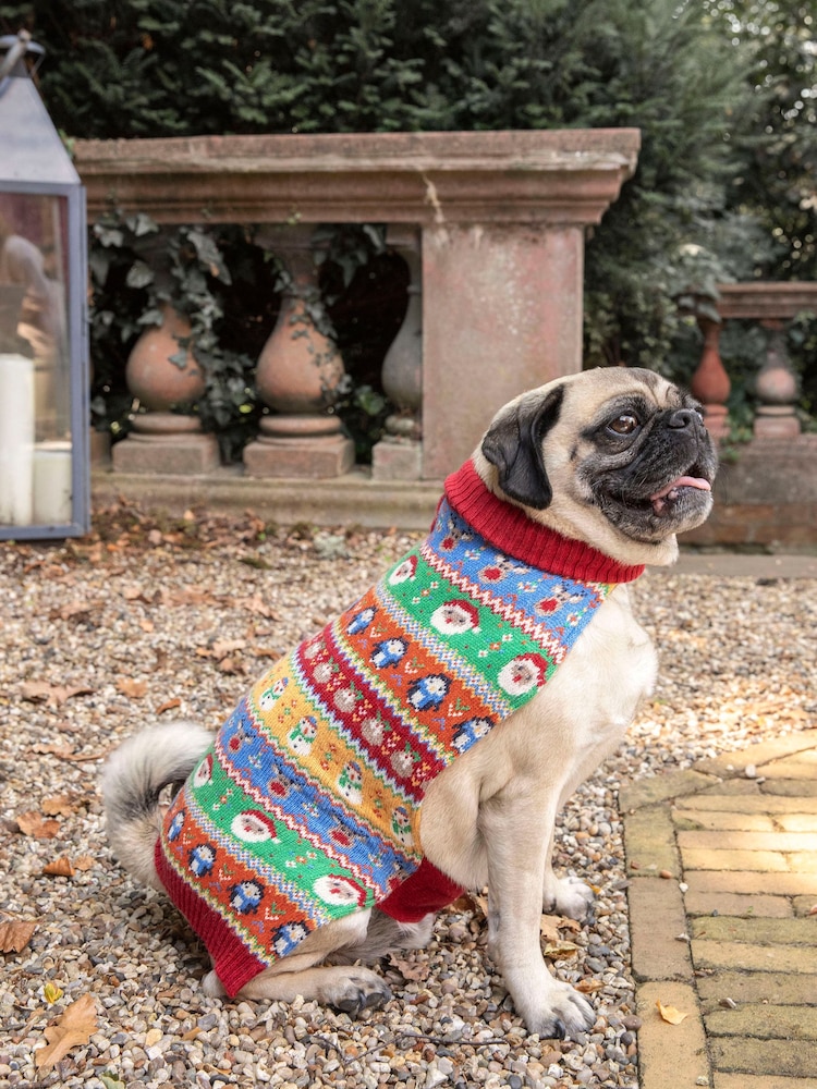 JoJo Maman Bébé Feria de Navidad Isle Mascotas Jumper - Imagen 4 de 4 JoJo Maman Bébé Feria de Navidad Isle Mascotas Jumper - Imagen 4 de 4