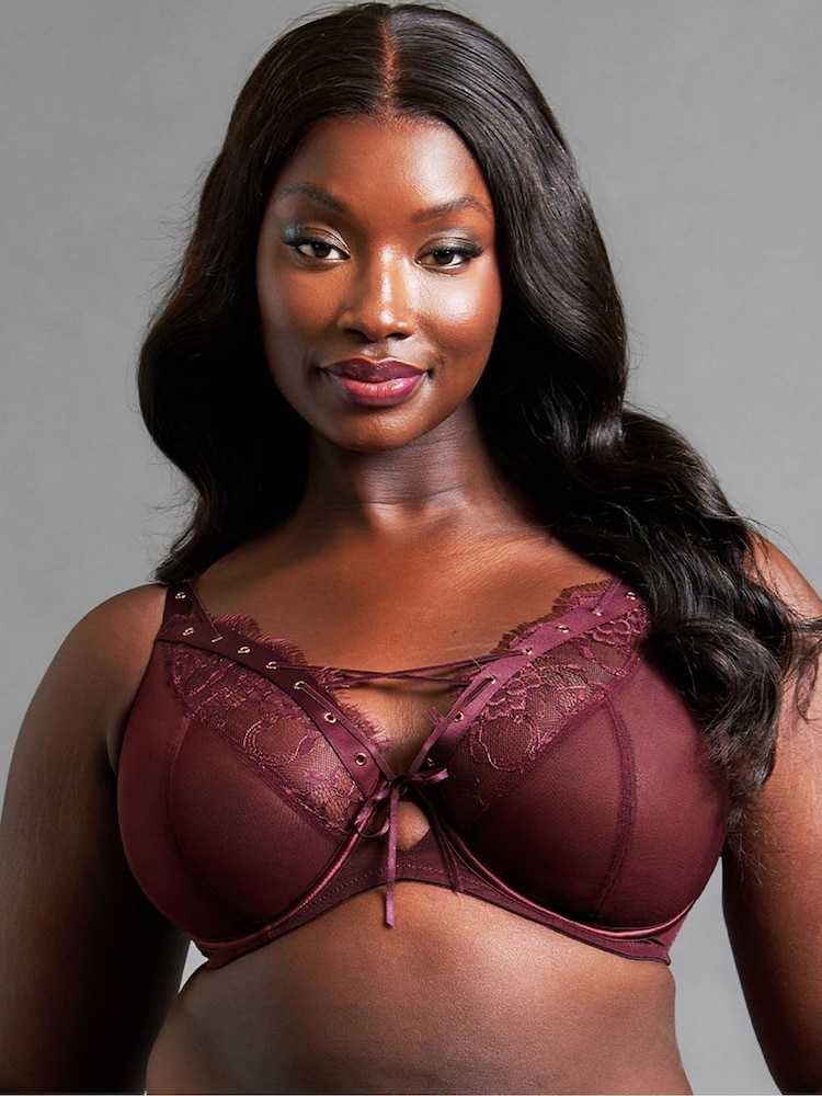 Curvy Kate Red Scantilly Laced Up Plunge Bra - Image 1 of 4 Curvy Kate Red Scantilly Laced Up Plunge Bra - Image 1 of 4