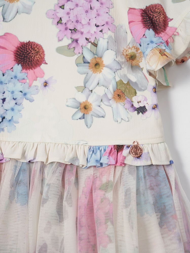Angel & Rocket Cream Azalea Ballerina Print Dress - Image 6 of 6 Angel & Rocket Cream Azalea Ballerina Print Dress - Image 6 of 6