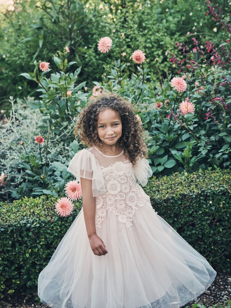 Angel & Rocket Pink Cascade Lace Anelise Dress - Image 3 of 9