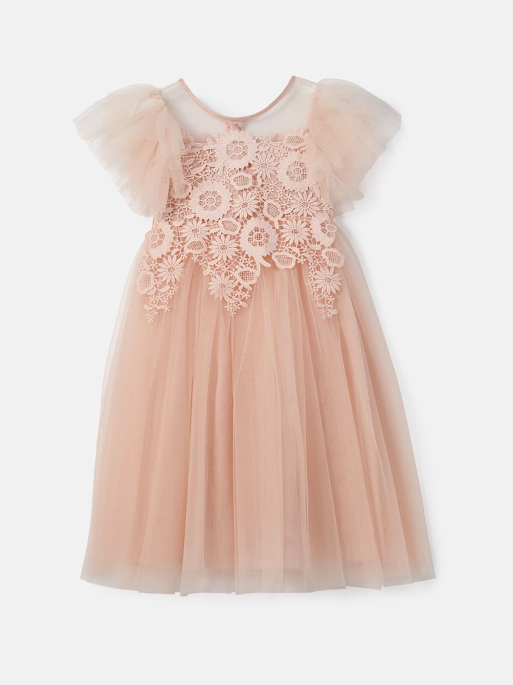 Angel & Rocket Pink Cascade Lace Anelise Dress - Image 7 of 9