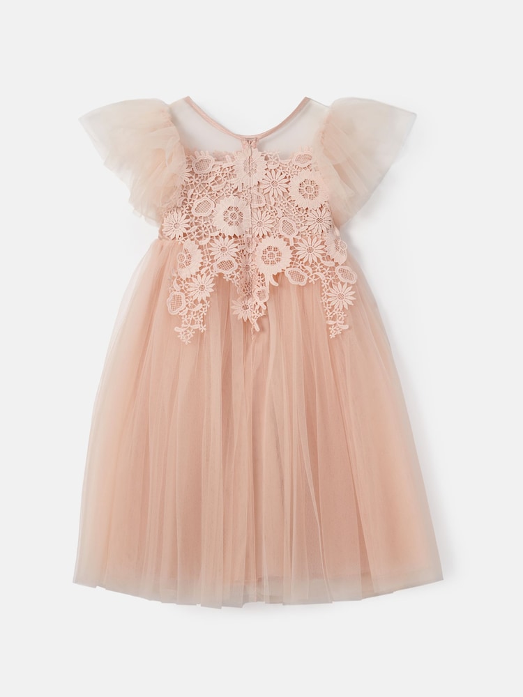 Angel & Rocket Pink Cascade Lace Anelise Dress - Image 8 of 9