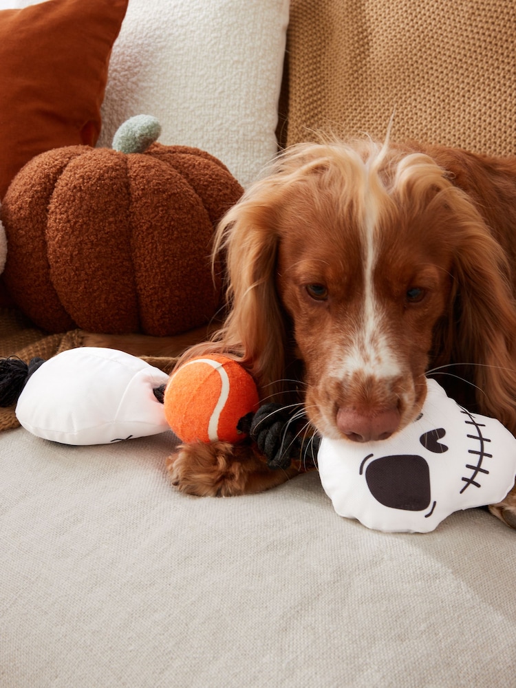 Halloween Rope and Ball Pet Toy - Image 2 of 2