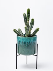 Oliver Bonas Green Garden Lani Ceramic Short Plant Pot Planter - Image 3 of 4