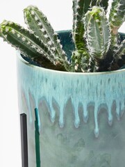 Oliver Bonas Green Garden Lani Ceramic Short Plant Pot Planter - Image 4 of 4