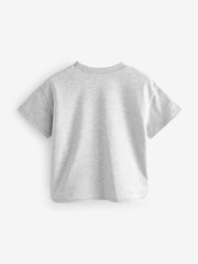Grey 100% Cotton Short Sleeve Appliqué T-Shirt (3mths-7yrs) - Image 2 of 3