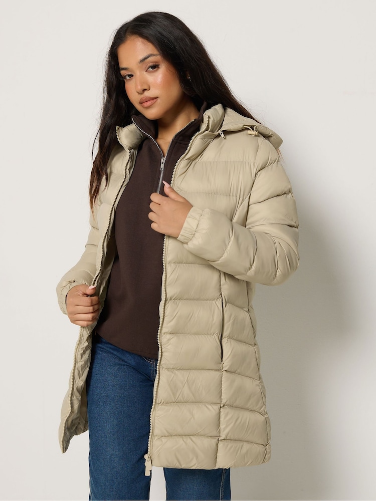 M&Co Green Petite Padded Hooded Coat - Image 1 of 6