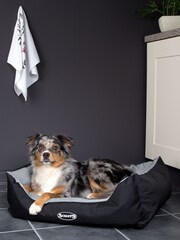 Scruffs Grey Large Expedition Box Bed - Image 1 of 3