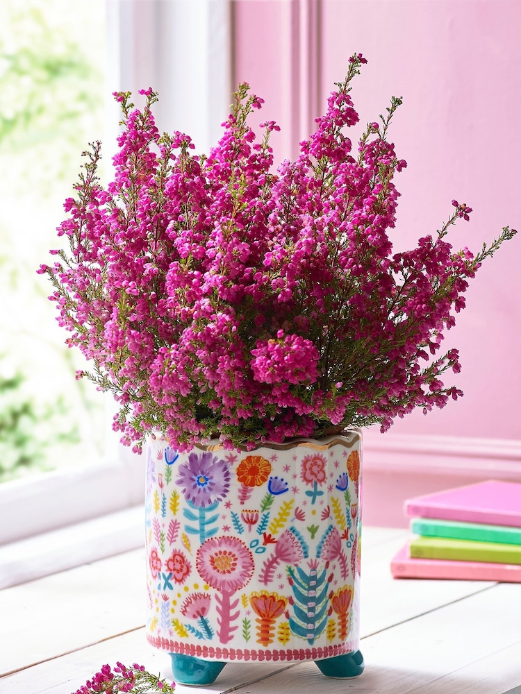 Lucy Tiffney x Next Multi Floral Footed Plant Pot - Image 1 of 4