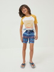 FatFace Blue Stripe Swim Shorts - Image 1 of 4