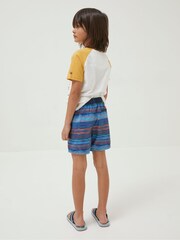 FatFace Blue Stripe Swim Shorts - Image 2 of 4
