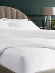 300 Thread Count Collection Luxe 100% Cotton Sheet - صورة 1 من 2