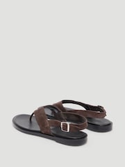 Marrón - Hush Zenya Suede Toe Post Sandals - Imagen 4 de 4