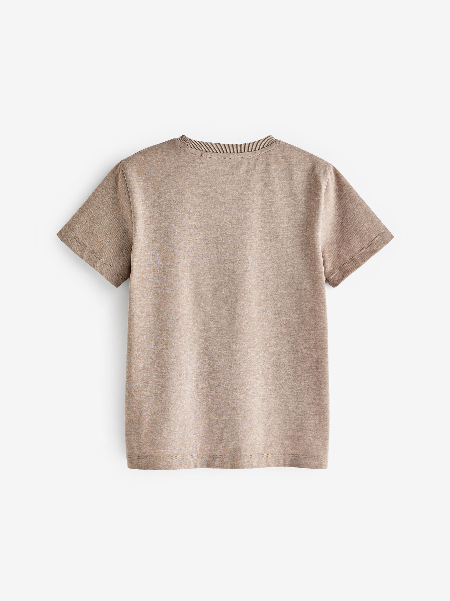 Buy Natural Stone Regular Fit Short Sleeve T-Shirt (3-16yrs