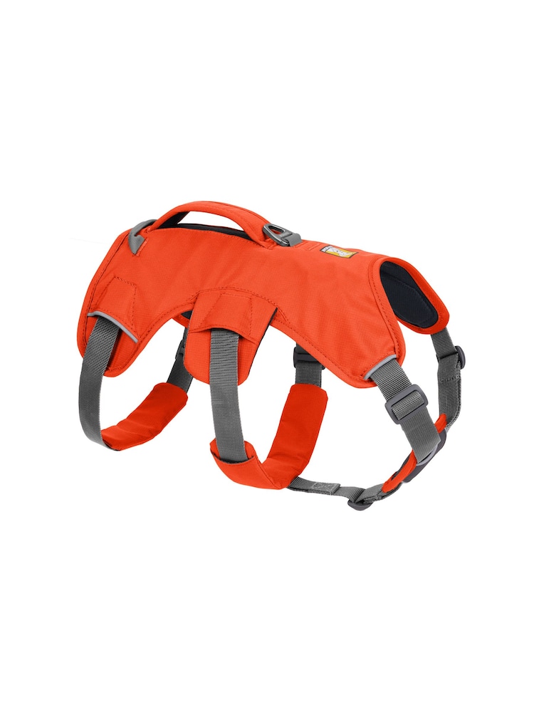 Ruffwear Orange Web Master™ Dog Harness with Handle - Image 2 of 4