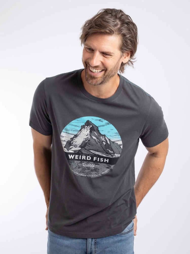 Weird Fish Grey Mountain Top Front Print Graphic T-Shirt - Image 1 of 6 Weird Fish Grey Mountain Top Front Print Graphic T-Shirt - Image 1 of 6