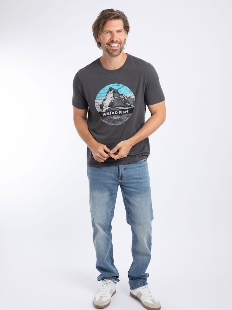 Weird Fish Grey Mountain Top Front Print Graphic T-Shirt - Image 2 of 6 Weird Fish Grey Mountain Top Front Print Graphic T-Shirt - Image 2 of 6