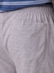 Blue Stripe/Grey Textured Short Pyjama Set - Image 5 of 9